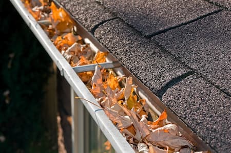 Gutters & House Health